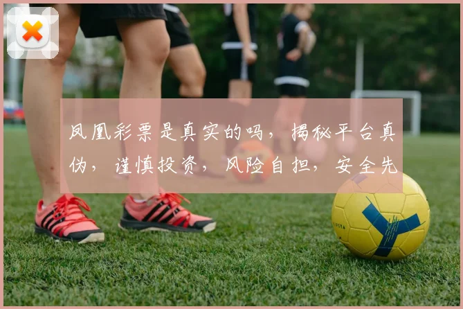 凤凰彩票是真实的吗，揭秘平台真伪，谨慎投资，风险自担，安全先行，三思而后行。